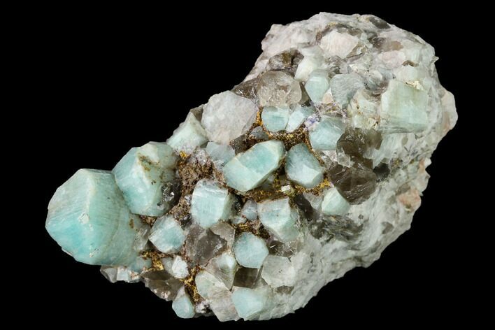 Amazonite Crystal Cluster with Smoky Quartz - Colorado #168075